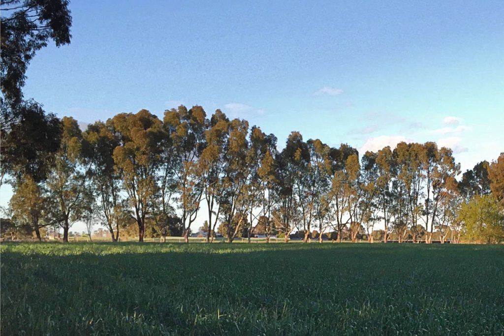 ArthurRE-field-trees