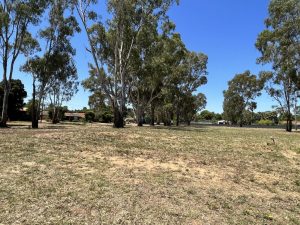 Lot 1363 29-35 Kelly St, Tocumwal – $320,000